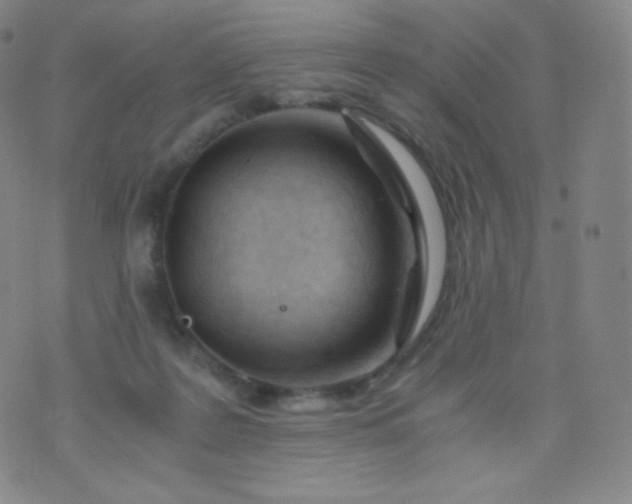 X0000076250219200610122213