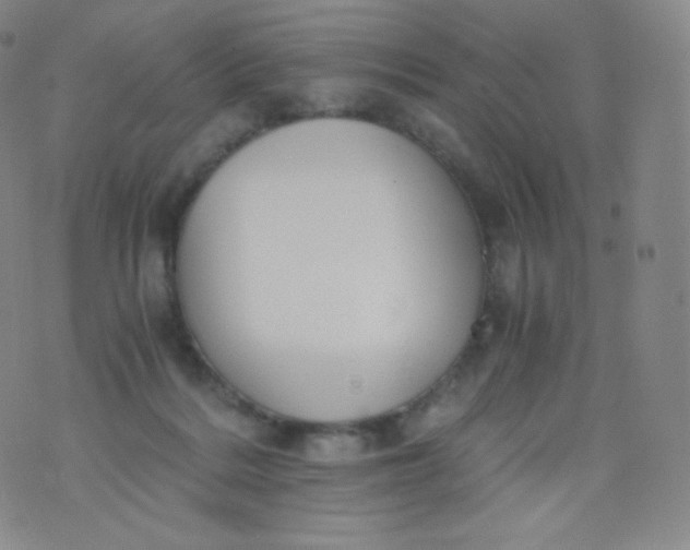 X0000076250220200610122213