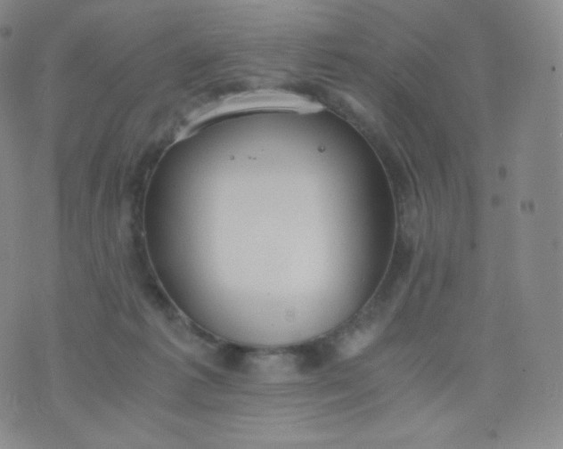 X0000076250221200610122213