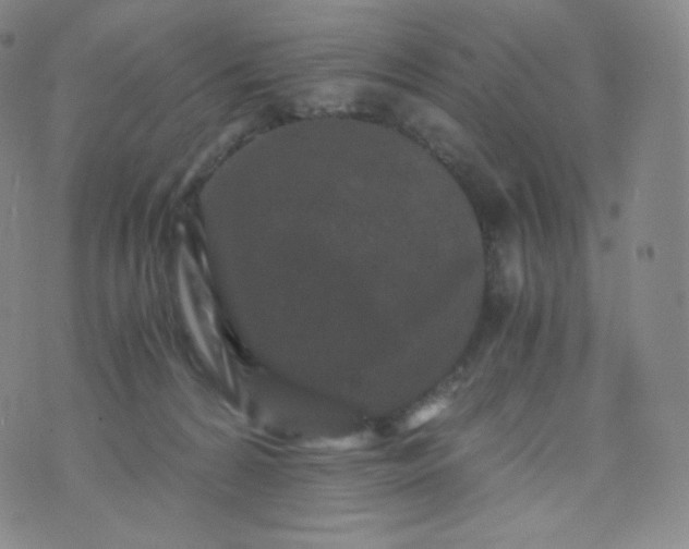 X0000076250224200610122213