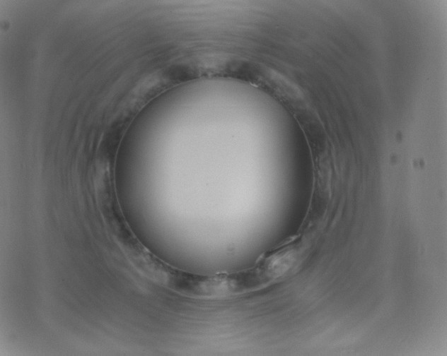 X0000076250225200610122213