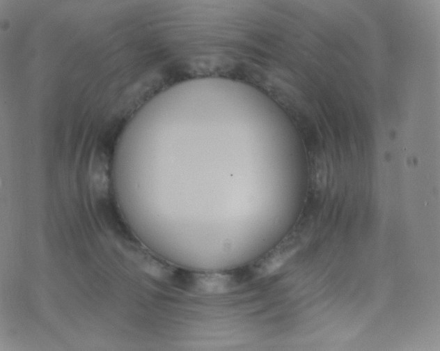 X0000076250226200610122213