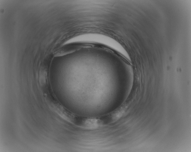 X0000076250227200610122213