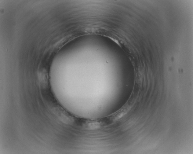 X0000076250228200610122213