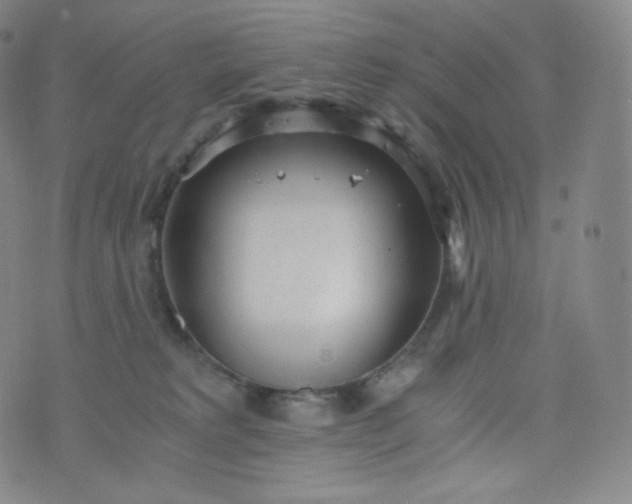 X0000076250229200610122213