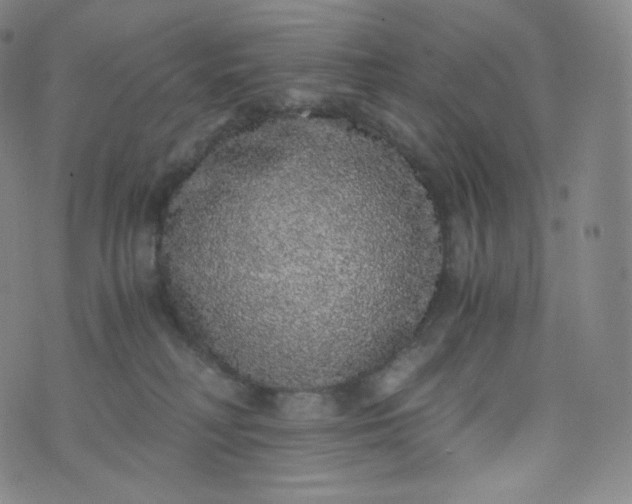 X0000076250230200610122213