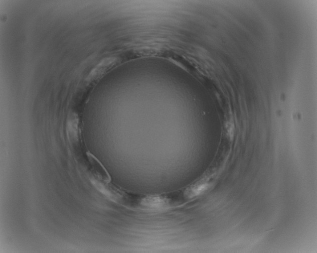 X0000076250231200610122213