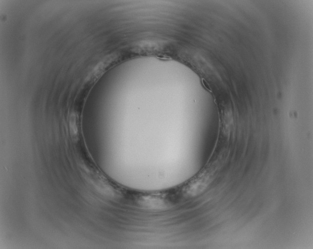 X0000076250232200610122213