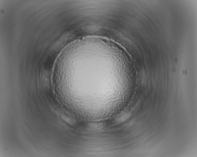 X0000076250234200610122213