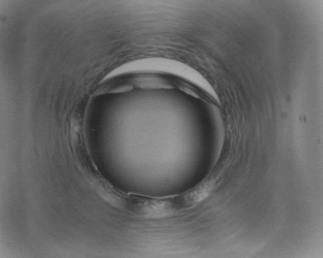 X0000076250235200610122213