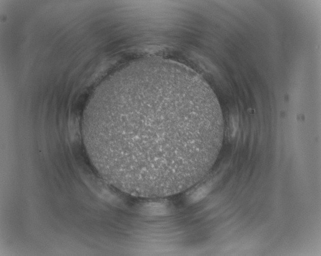 X0000076250236200610122213