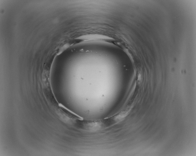 X0000076250237200610122213