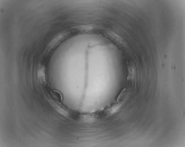 X0000076250238200610122213