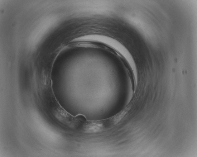 X0000076250239200610122213