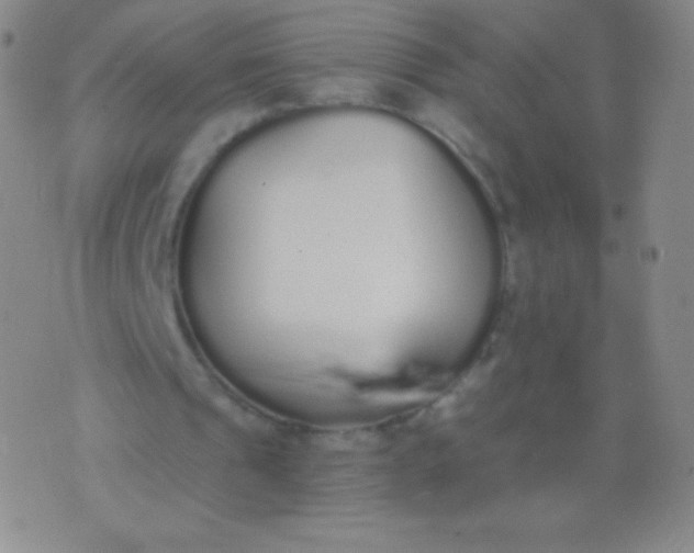 X0000076250241200610122212