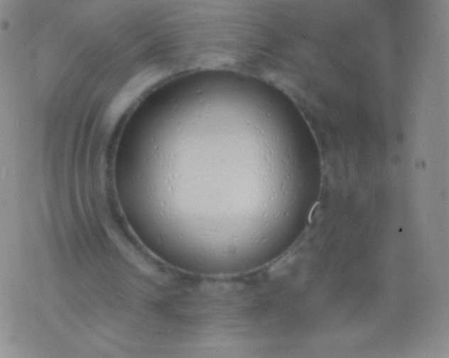 X0000076250242200610122212