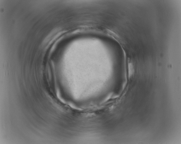 X0000076250243200610122212