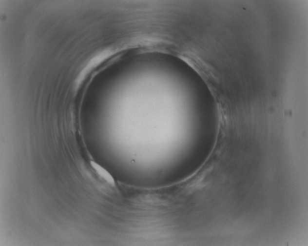 X0000076250244200610122212