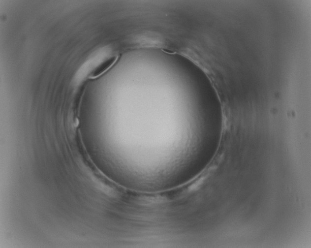 X0000076250245200610122212