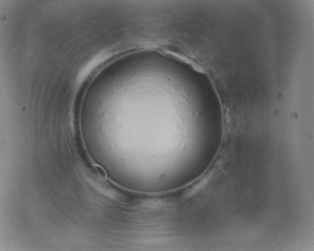 X0000076250246200610122212