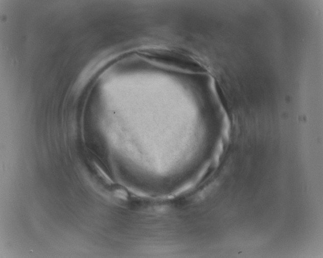 X0000076250247200610122212