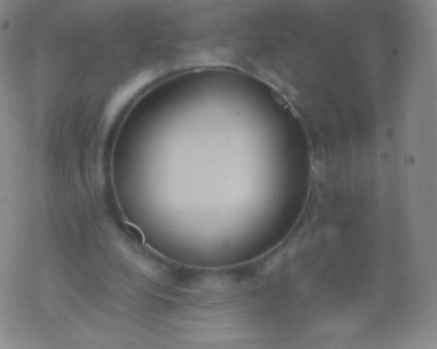 X0000076250248200610122212