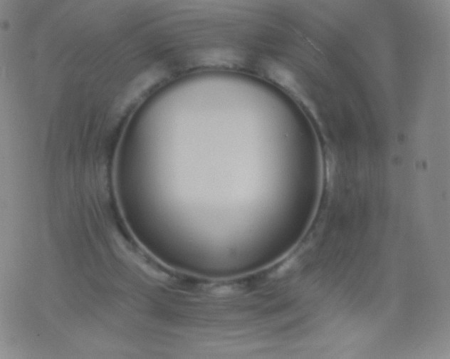 X0000076250249200610122212