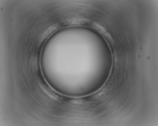 X0000076250250200610122212