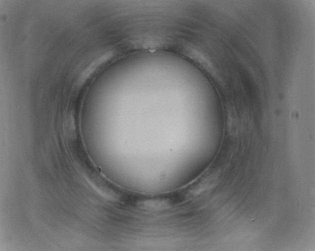 X0000076250251200610122212