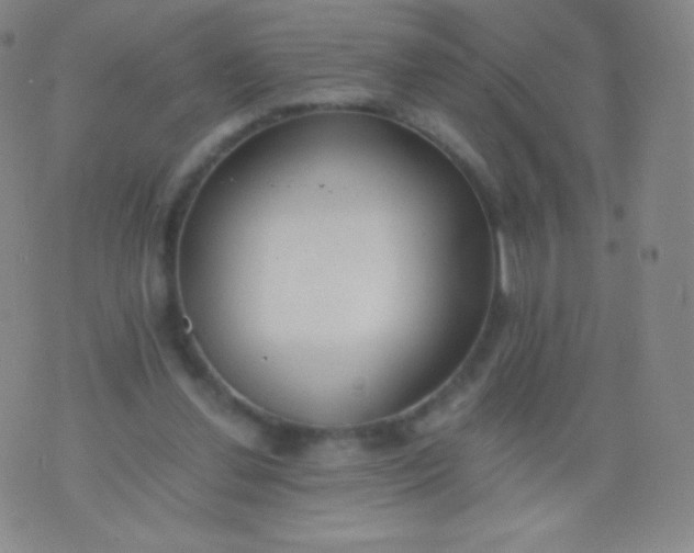 X0000076250252200610122212