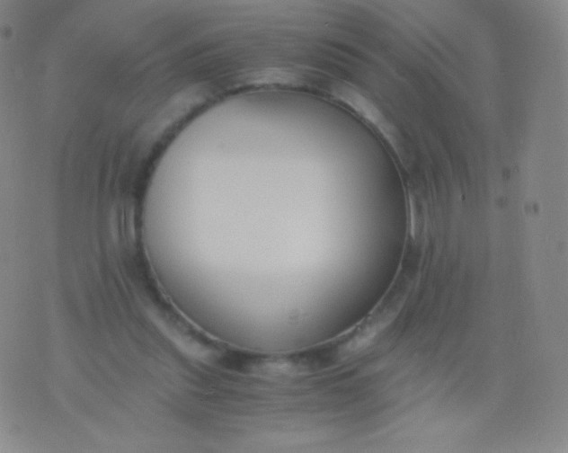 X0000076250253200610122212