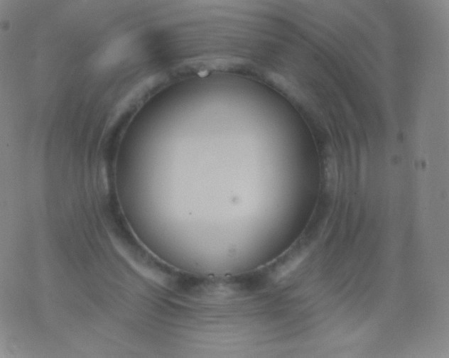 X0000076250254200610122212