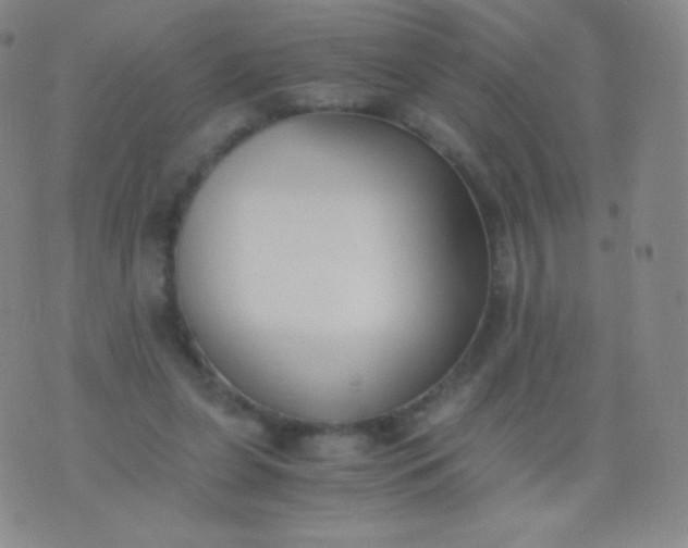 X0000076250255200610122212