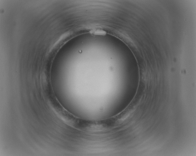 X0000076250256200610122212