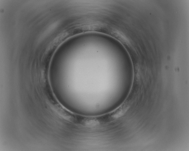 X0000076250258200610122212