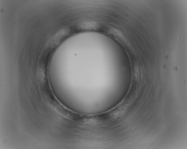 X0000076250259200610122212