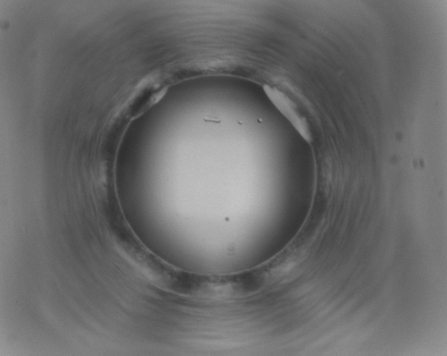 X0000076250260200610122212