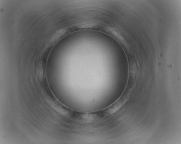 X0000076250261200610122212