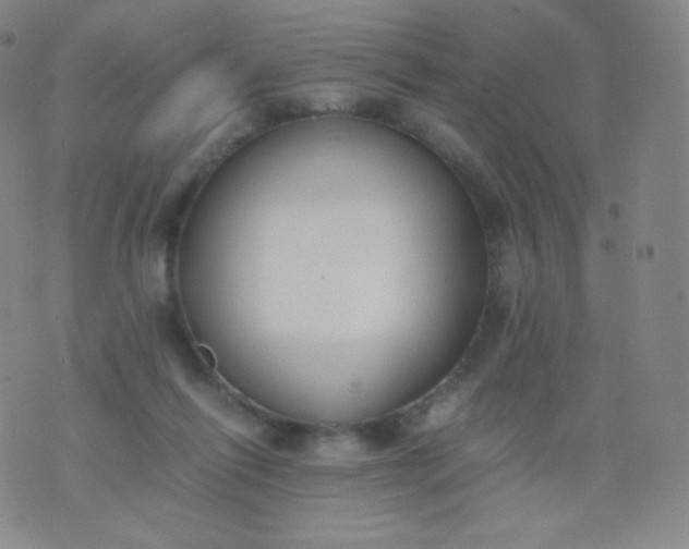 X0000076250262200610122212