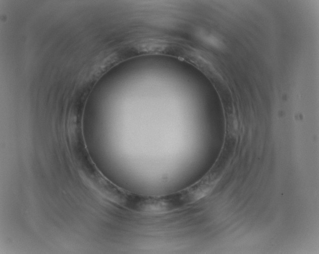 X0000076250263200610122212