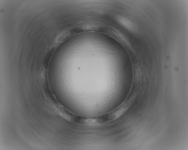 X0000076250265200610122212