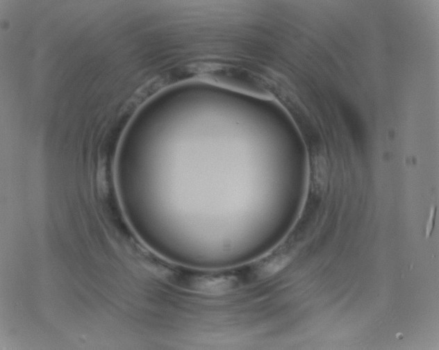 X0000076250267200610122212