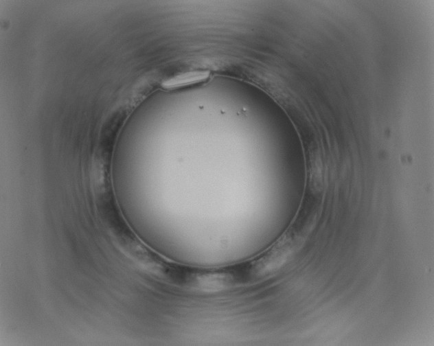 X0000076250268200610122212