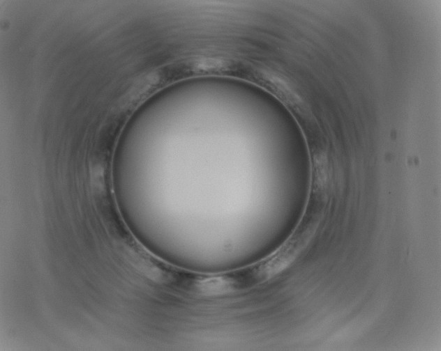 X0000076250269200610122213