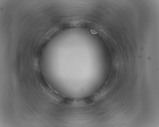 X0000076250270200610122213