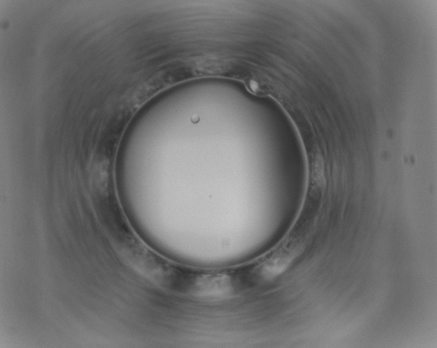 X0000076250271200610122213