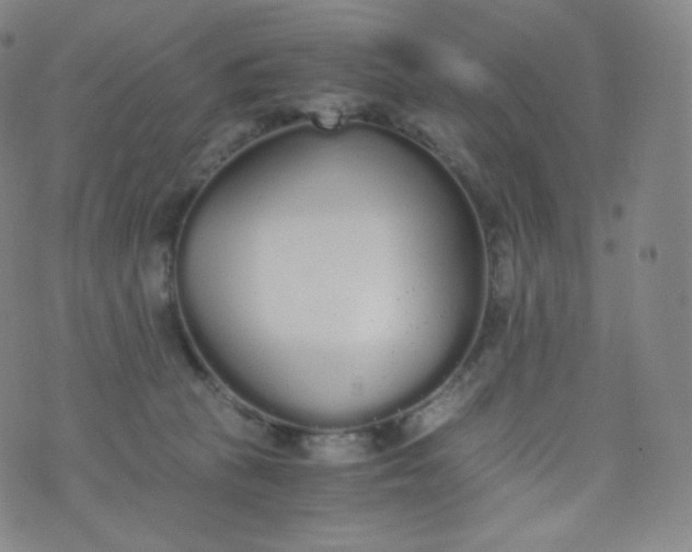 X0000076250273200610122213