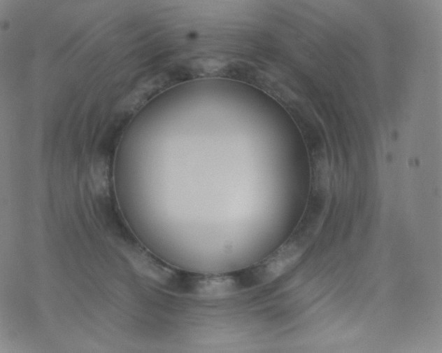 X0000076250274200610122213