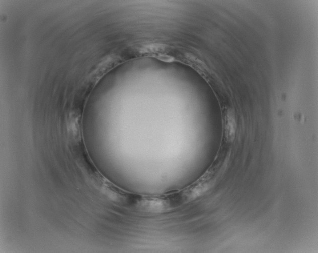 X0000076250276200610122213