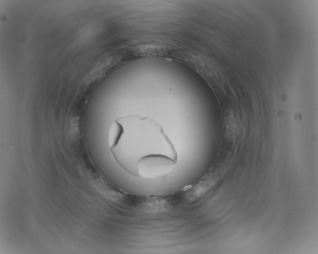 X0000076250278200610122213